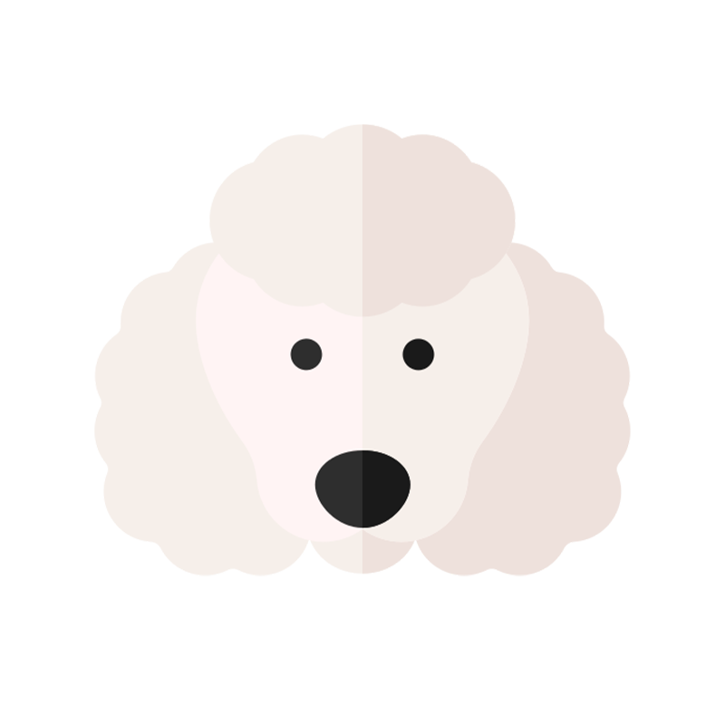 Poodle
